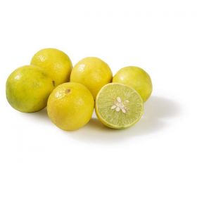 Lemon India
