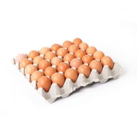 Brown Fresh Eggs Oman 30pcs