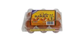 Barka Omani Brown Eggs Large 15 Pcs