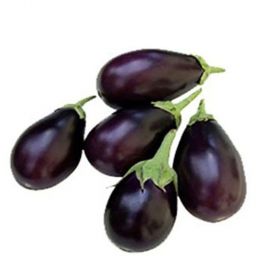 Eggplant Small