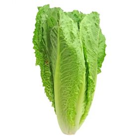 Lettuce Romain Piece