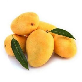 Mango Alphonso India