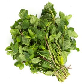 Mint Leaves Bunch