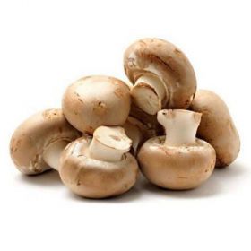 Mushroom Brown Pkt