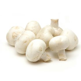 Mushroom White Pkt