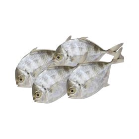 Saal Fish 1Kg